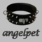 angelpet's Avatar
