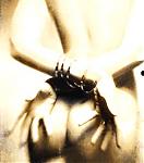 sweetypye22's Avatar