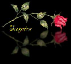 suspira's Avatar