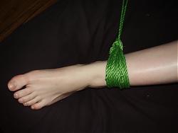 whippedcream's Avatar