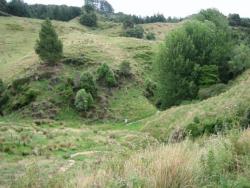 USunistudent19's Avatar