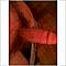 slaveboy01