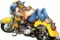 harleyman469