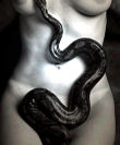 ~Snake~'s Avatar