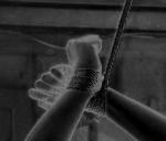 skittish doe's Avatar